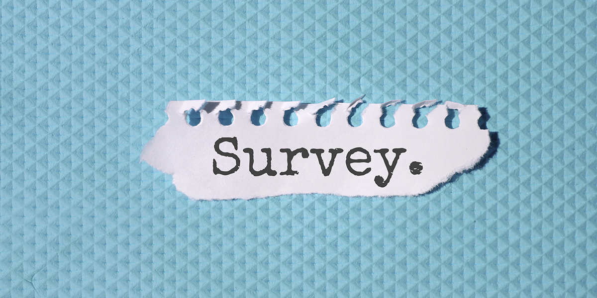 Survey - Friday (11/12/2021)